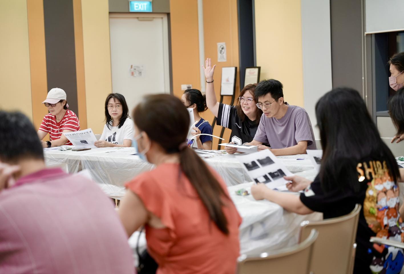 Close-up view of a beautifully arranged airplant on driftwood
