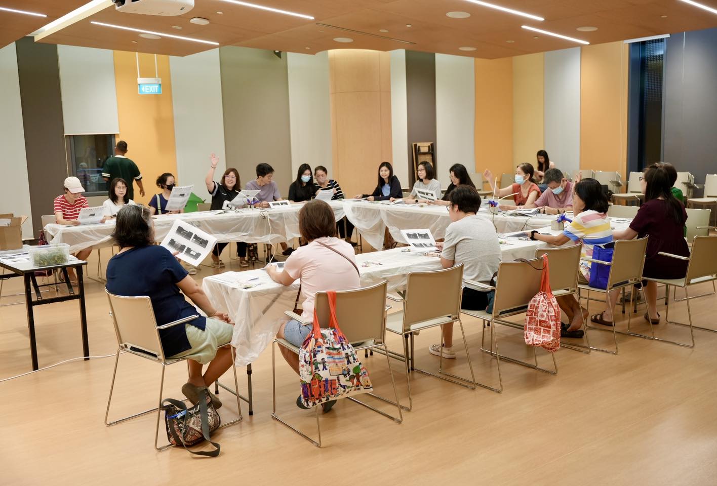 A collection of diverse and unique airplant driftwood creations