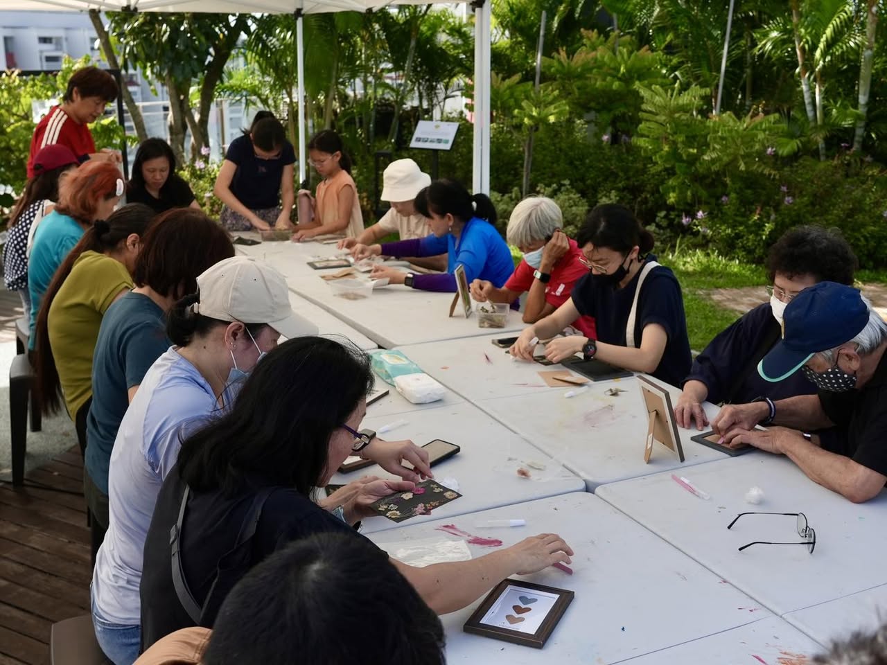 Close-up view of various vibrant flowers laid out for pressing.