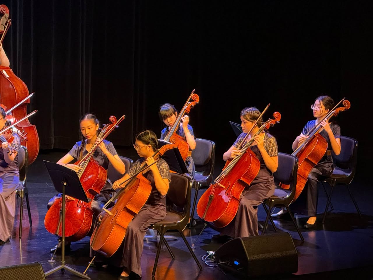 Cellists performing on stage at the concert