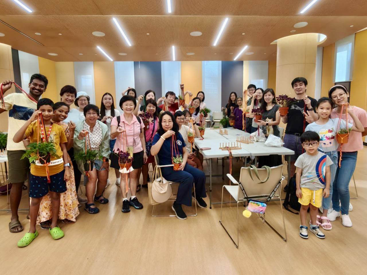 A display of completed stylish macrame plant hangers