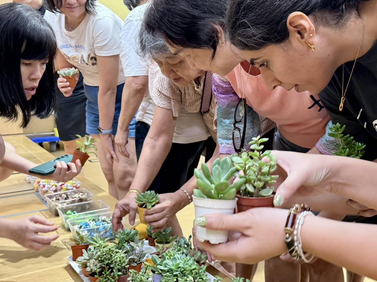 Succulent care workshop in progress