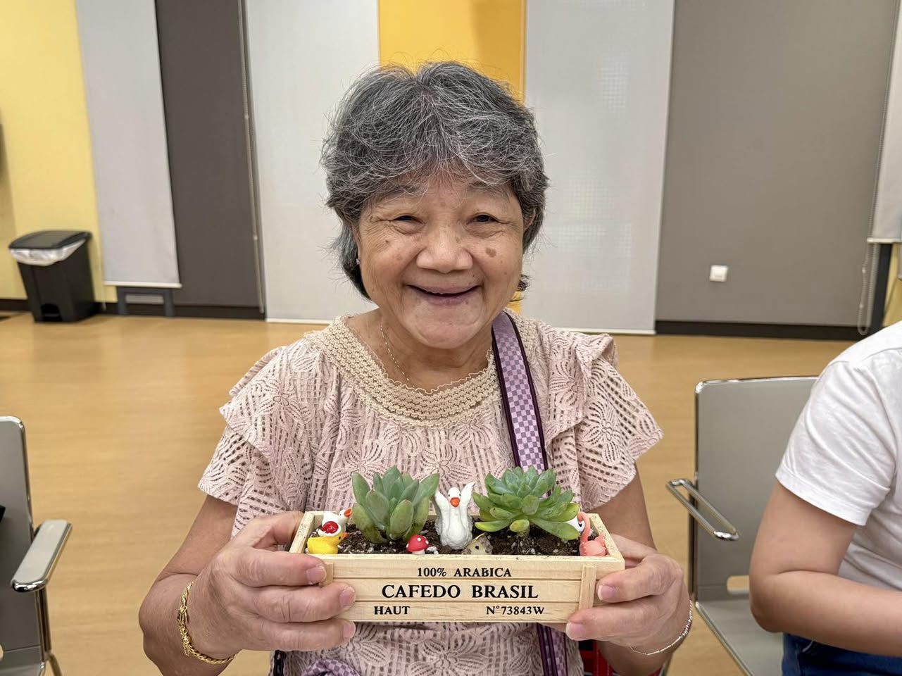 Variety of colorful succulents and planters