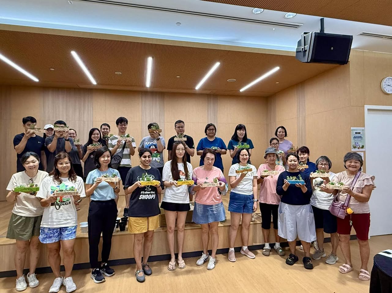 Finished succulent oasis creations