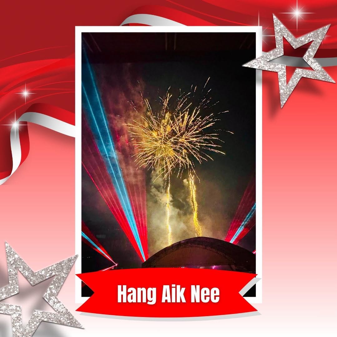 Fireworks with laser lights by Hang Aik Nee