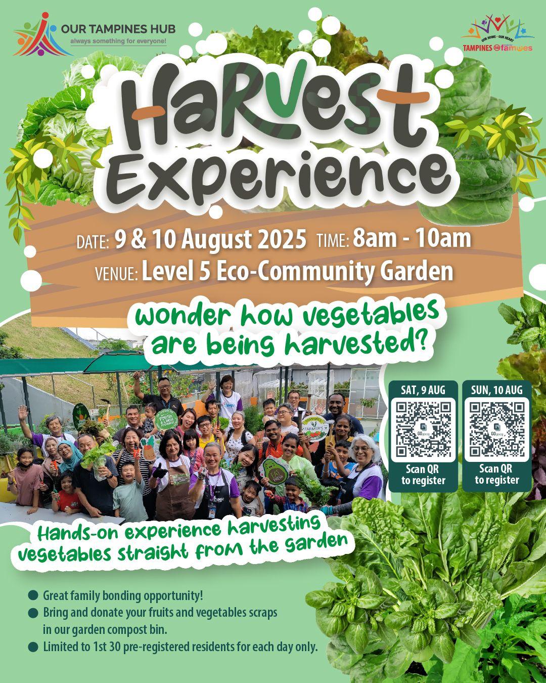 A vibrant garden scene, possibly showing fresh vegetables and people harvesting.