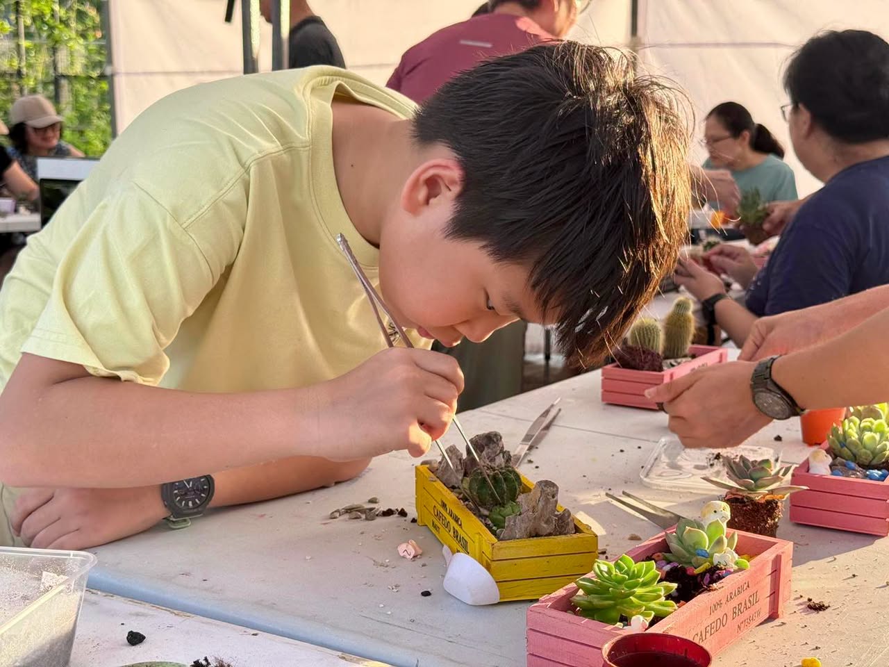 Succulent planting activity with JOS ALMEIDA CAFÉ DO BRASIL planters