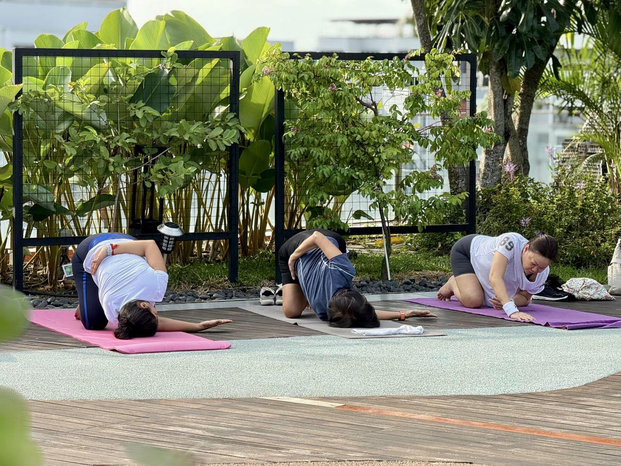Outdoor yoga class surrounded by lush green plants
