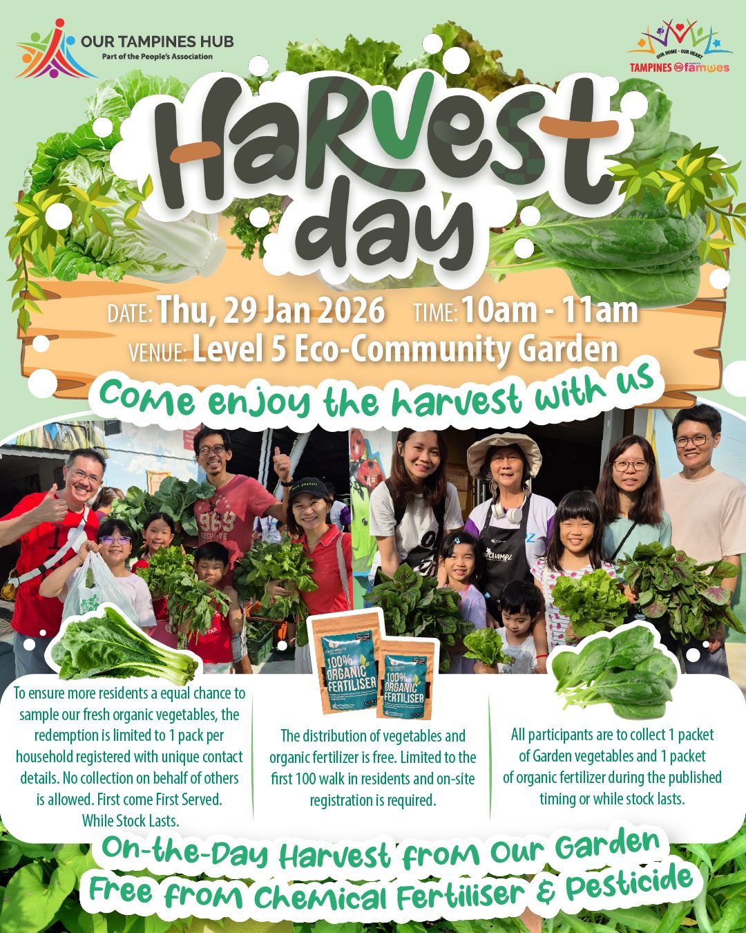 A lush display of fresh organic vegetables harvested from the Eco-Community Garden.