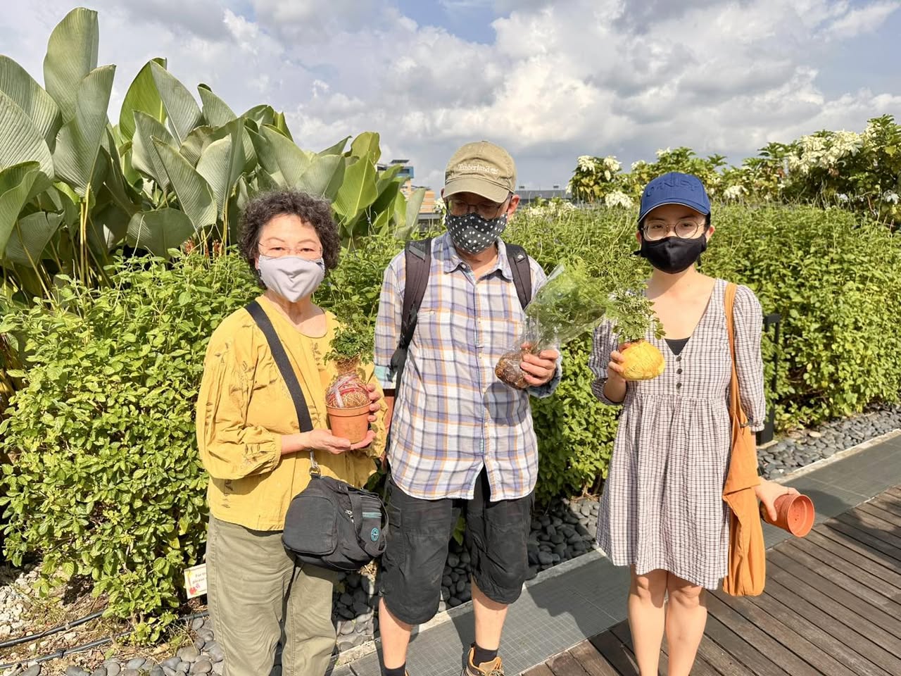 A collection of beautifully crafted Kokedama moss balls