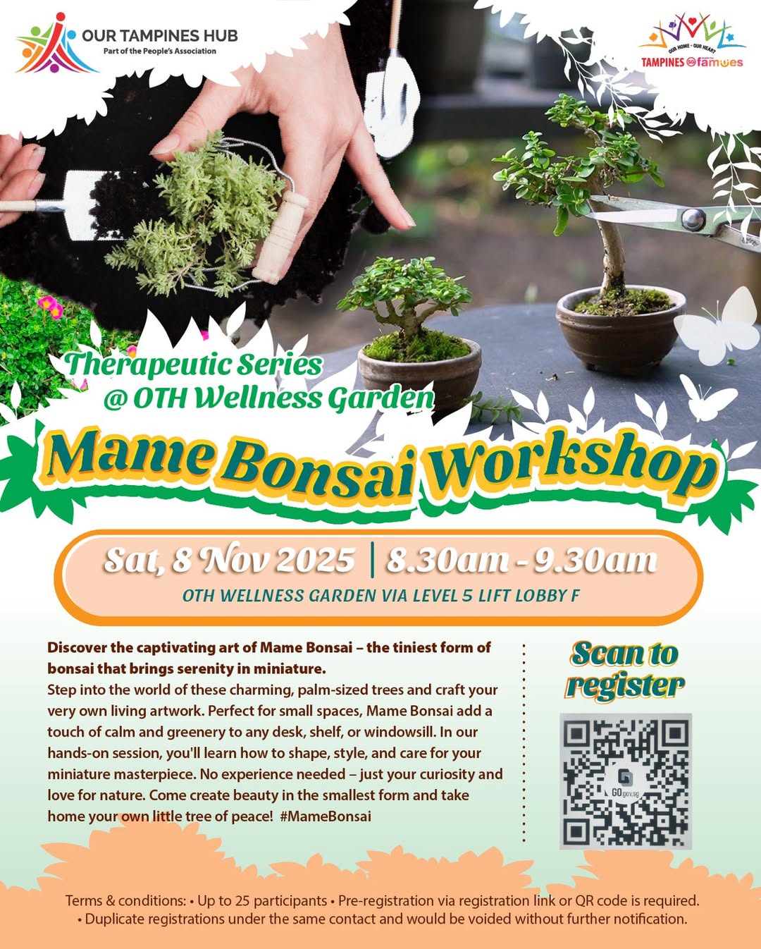 A beautifully crafted Mame Bonsai tree, showcasing its miniature elegance and intricate details.