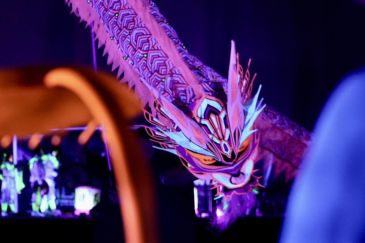 Spectacular Luminous Dragon Dance performance