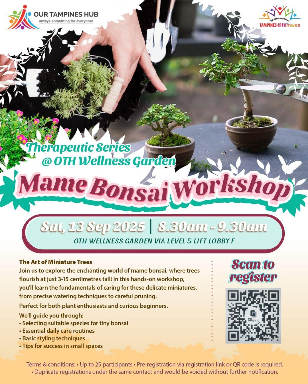 A tiny Mame Bonsai tree in a small pot, showcasing intricate detail and miniature beauty.