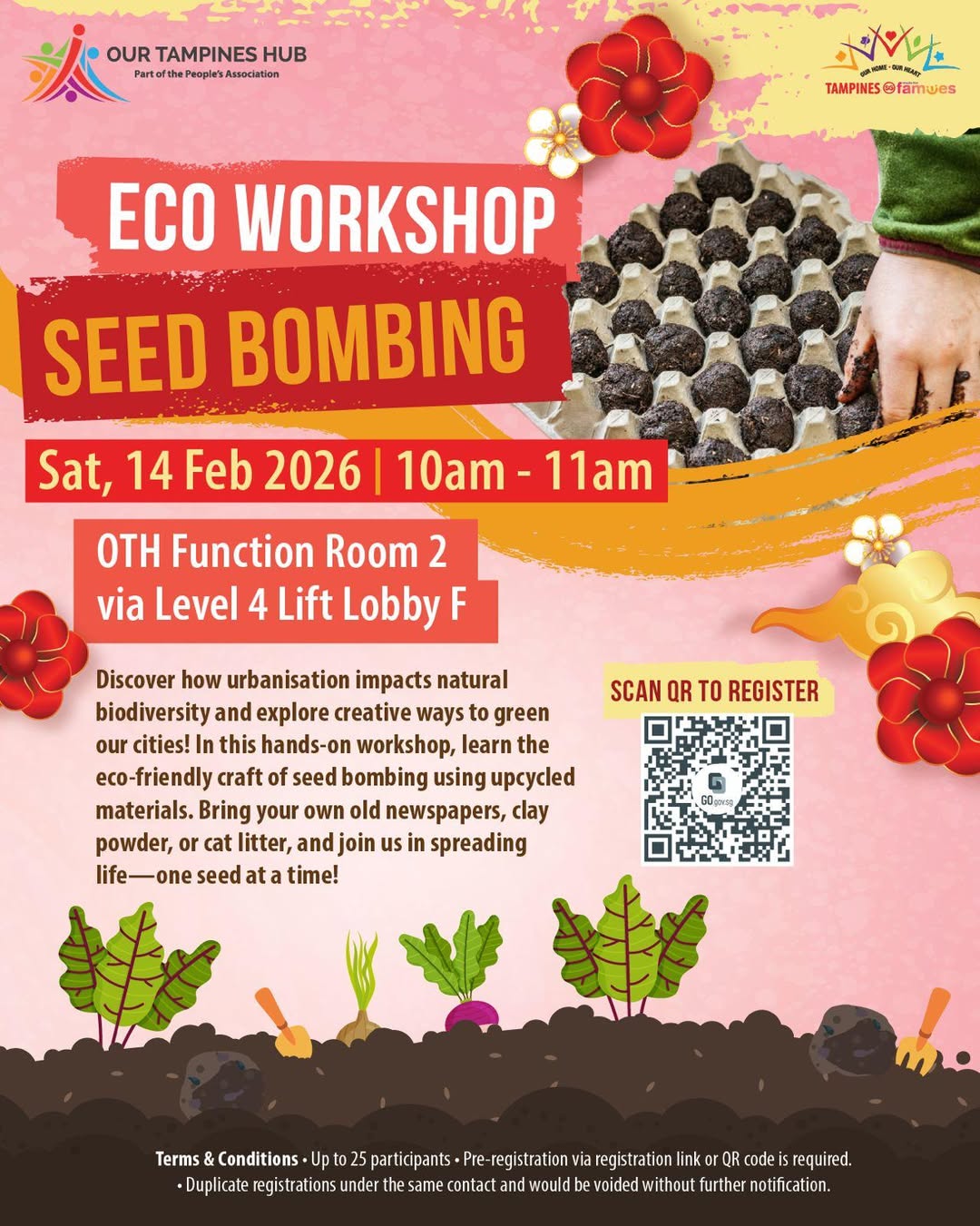 A beautiful arrangement of healthy Tillandsia air plants.