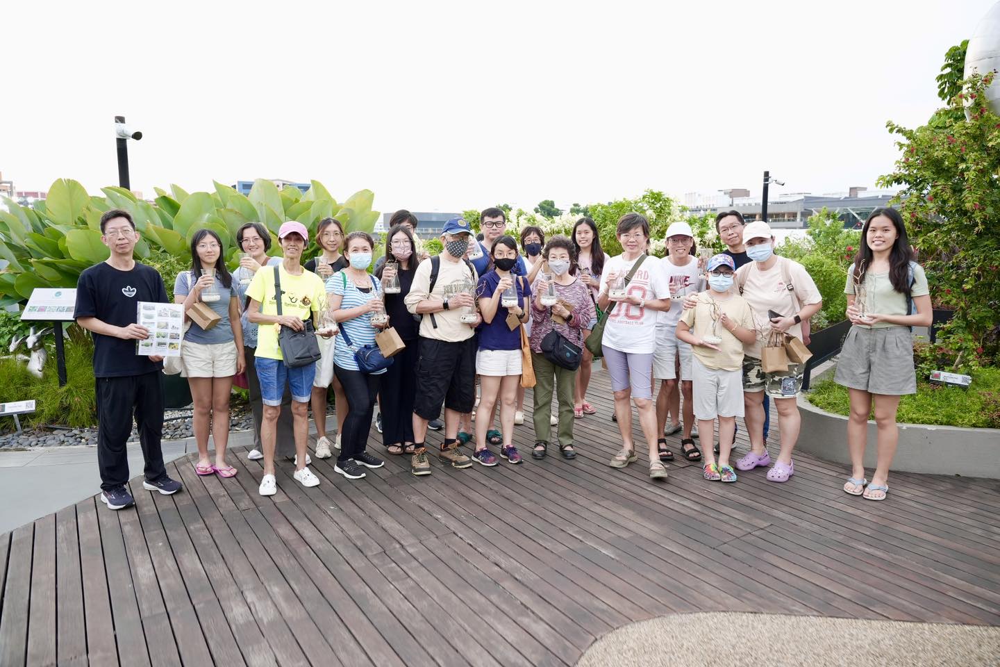 A vibrant collection of unique Marimo moss balls ready for terrarium creation.
