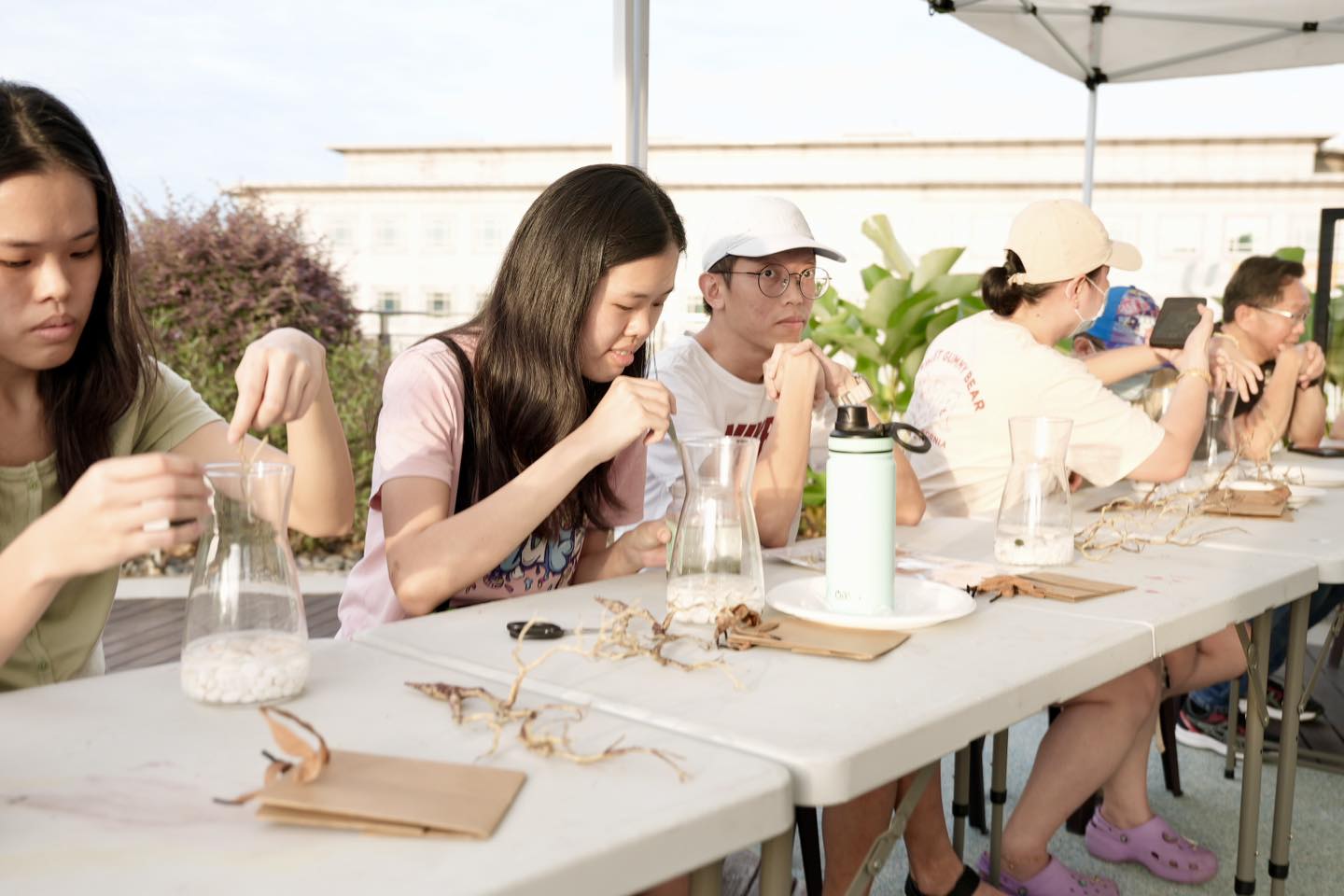 A beautifully completed Marimo moss ball terrarium, showcasing its tranquil beauty.