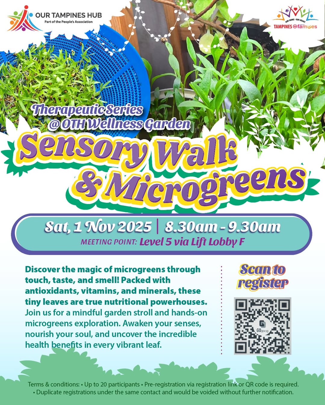 Vibrant green microgreens growing in a tray, ready for harvest.