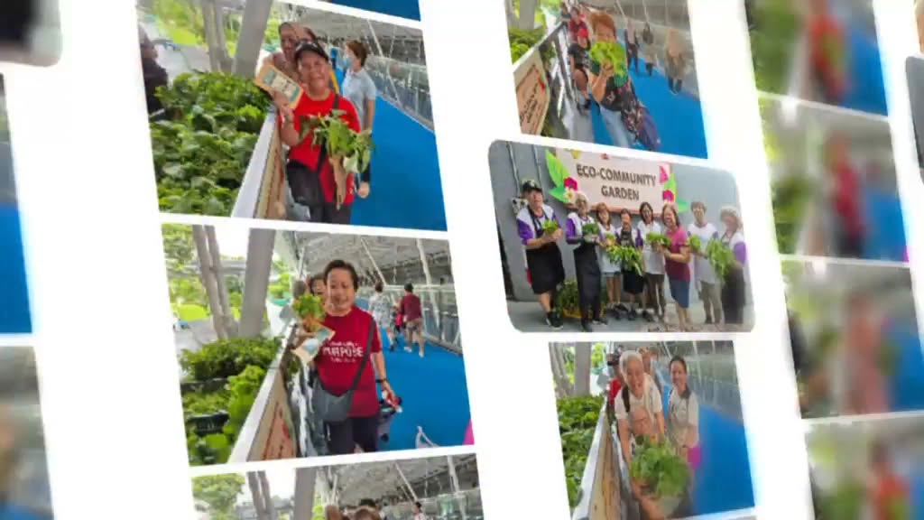 OTH Eco-Community Garden harvest event with residents picking fresh pesticide-free vegetables