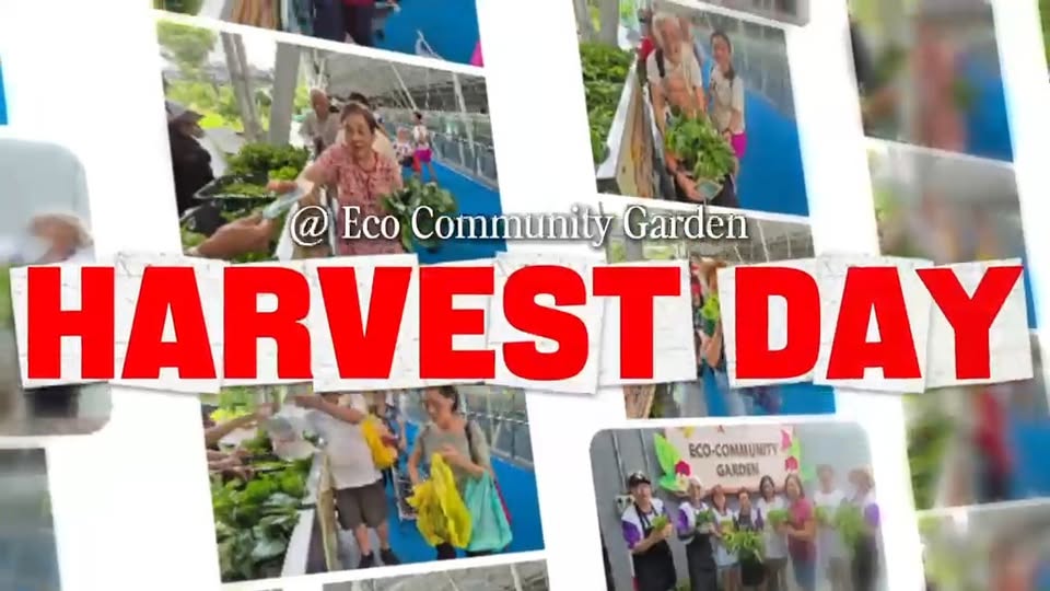 Group photo of OTH Champz volunteers and residents at the Eco-Community Garden harvest at Our Tampines Hub