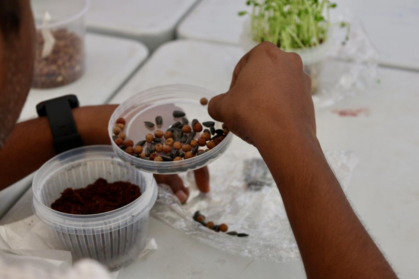Community members learning about organic gardening techniques.