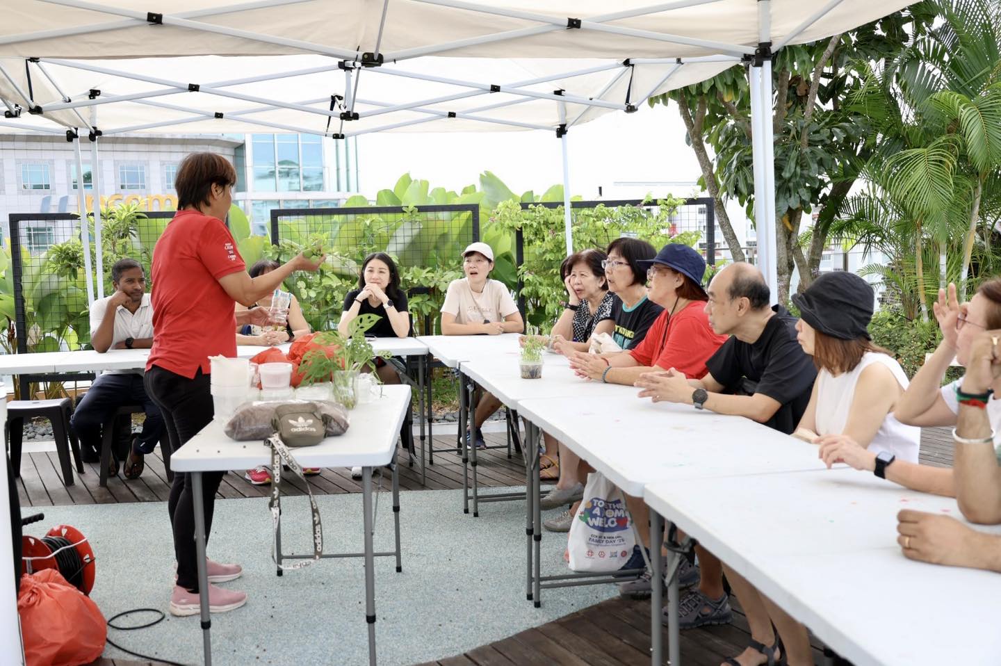 A close-up shot of vibrant, freshly picked microgreens.