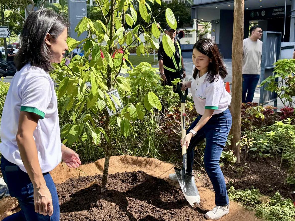 Distinguished guests participating in a tree-planting ceremony with the symbolic Tempinis tree
