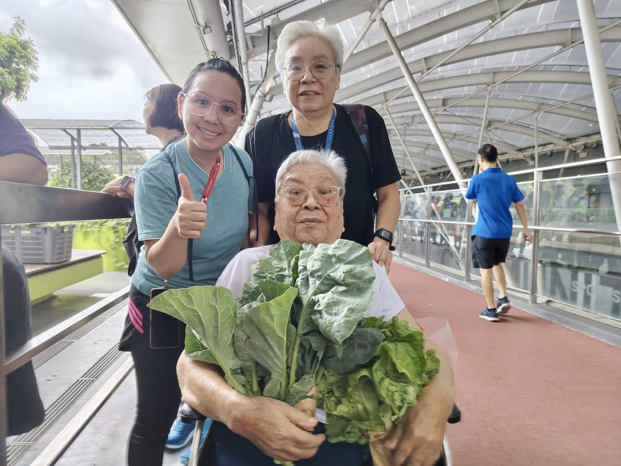 The vibrant greenery of the Tampines Hub community garden