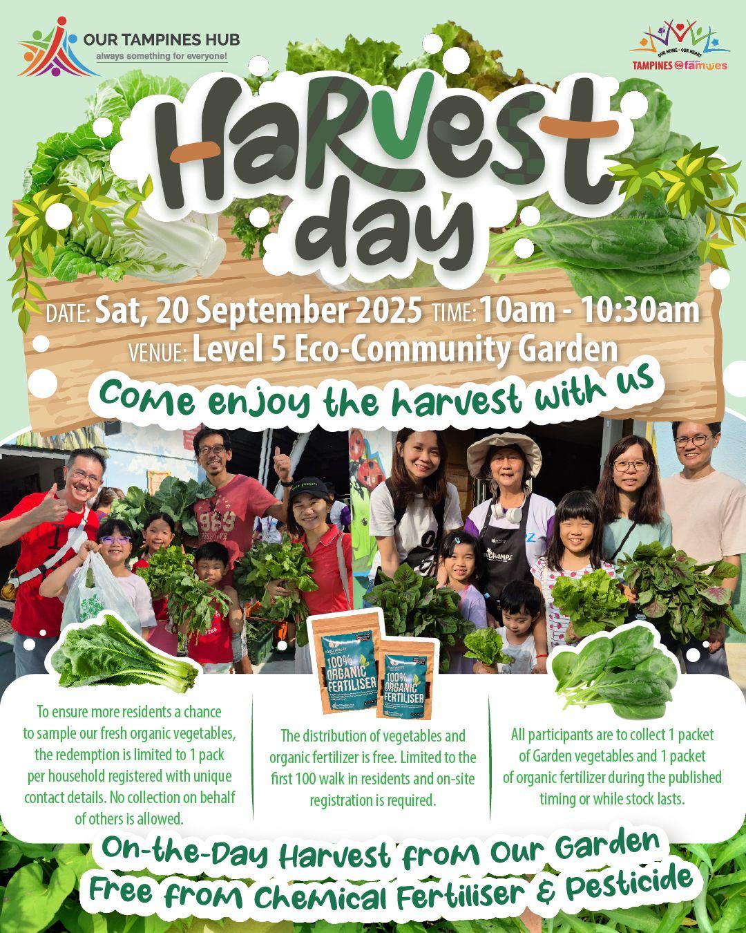 Freshly harvested organic vegetables from a community garden.