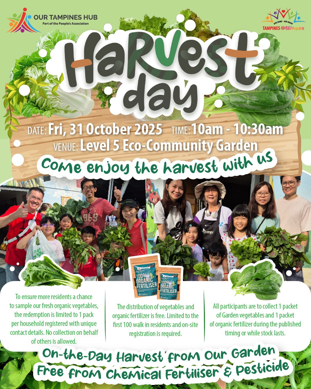 A bountiful display of freshly harvested organic vegetables from a community garden, symbolizing sustainable living.