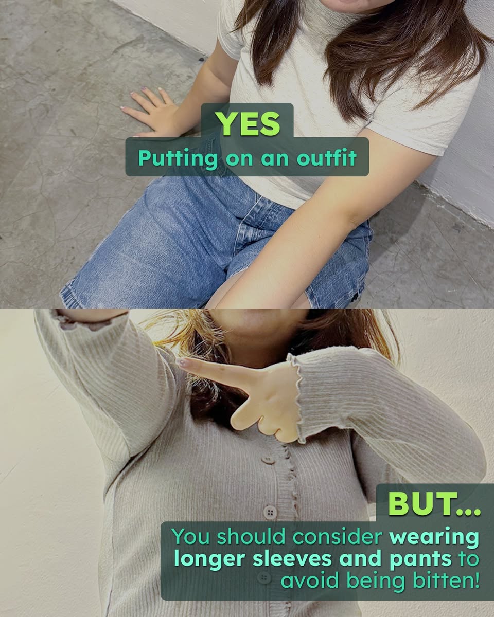 Wear longer sleeves and pants to avoid mosquito bites
