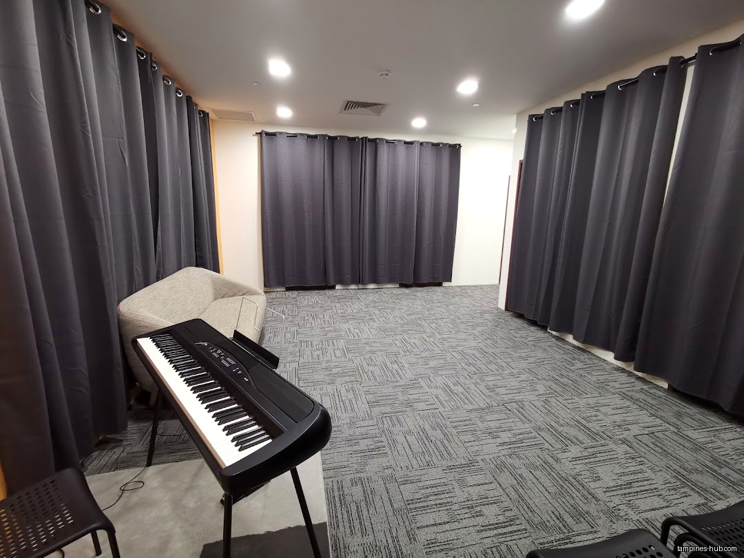 Chinese Instrumental Music School