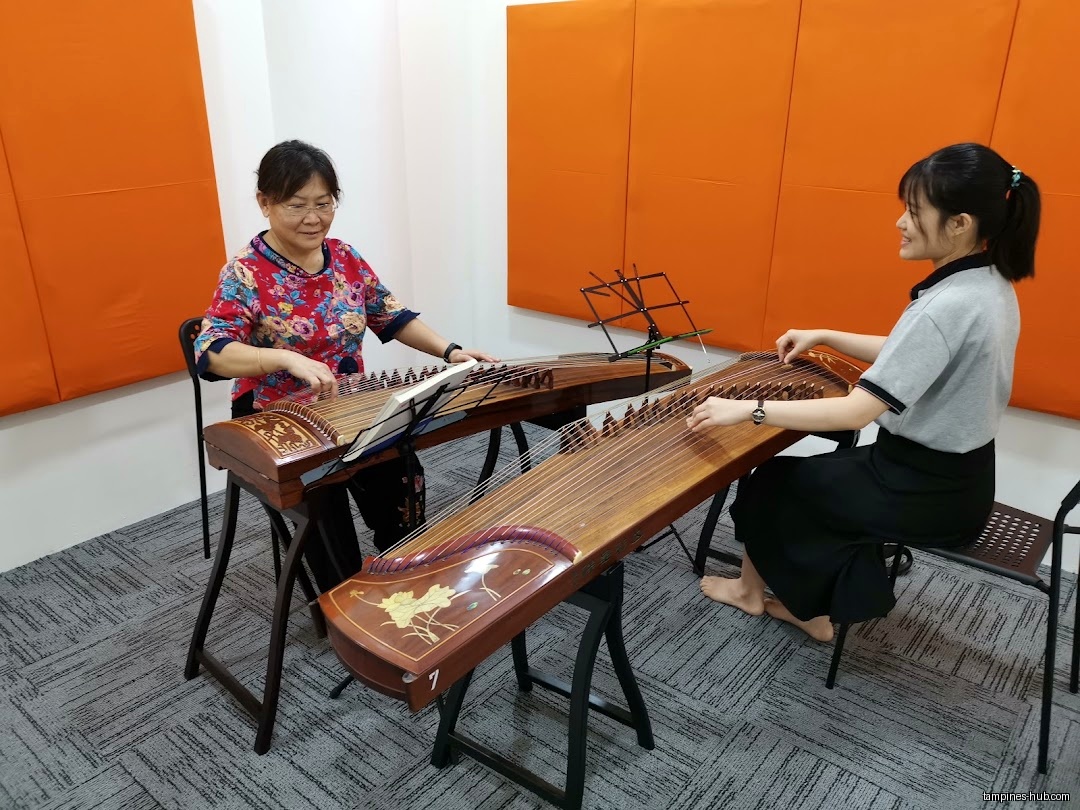 Chinese Instrumental Music School