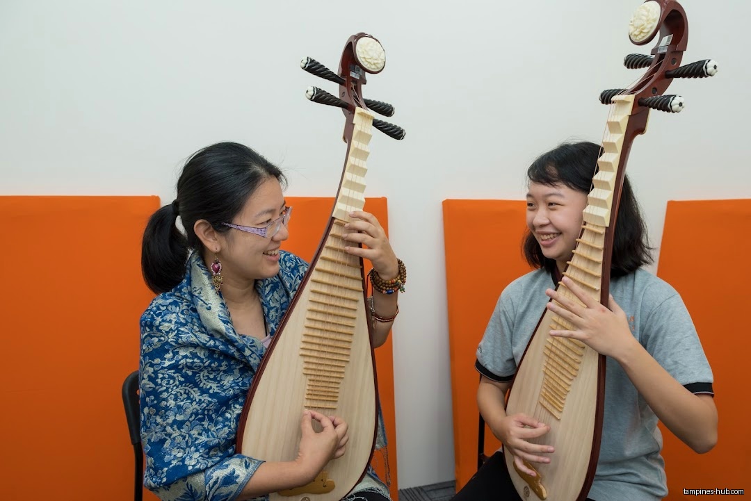 Chinese Instrumental Music School