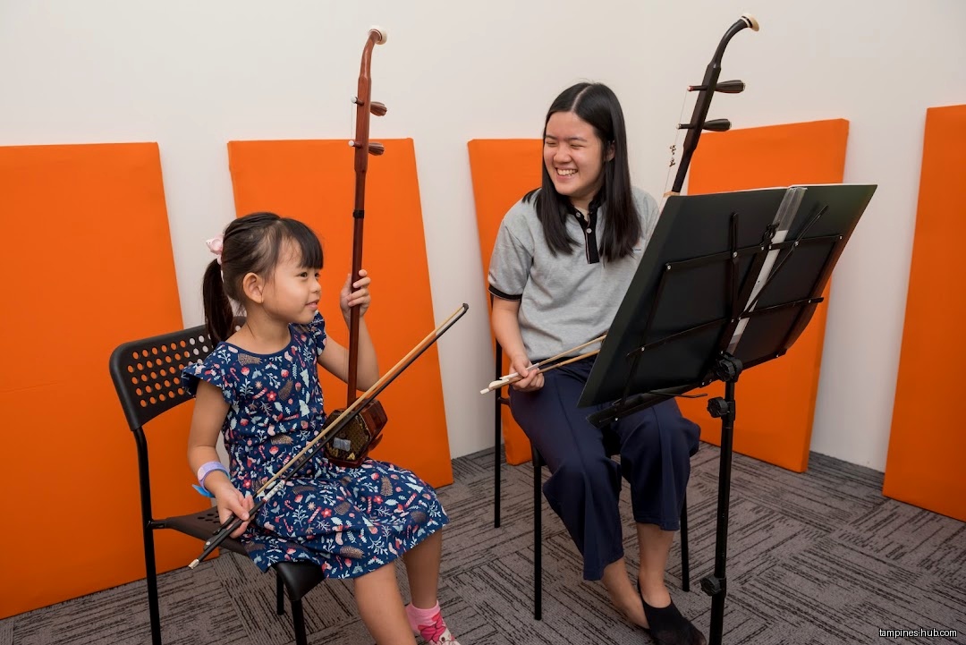 Chinese Instrumental Music School
