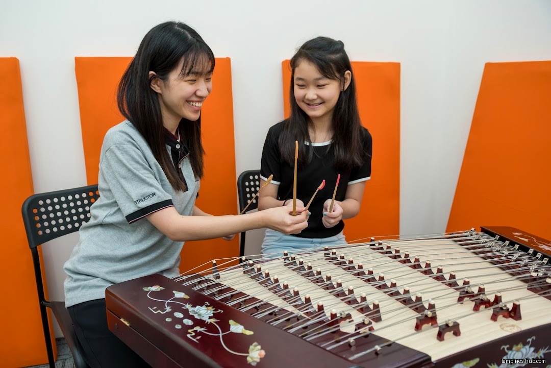 Chinese Instrumental Music School