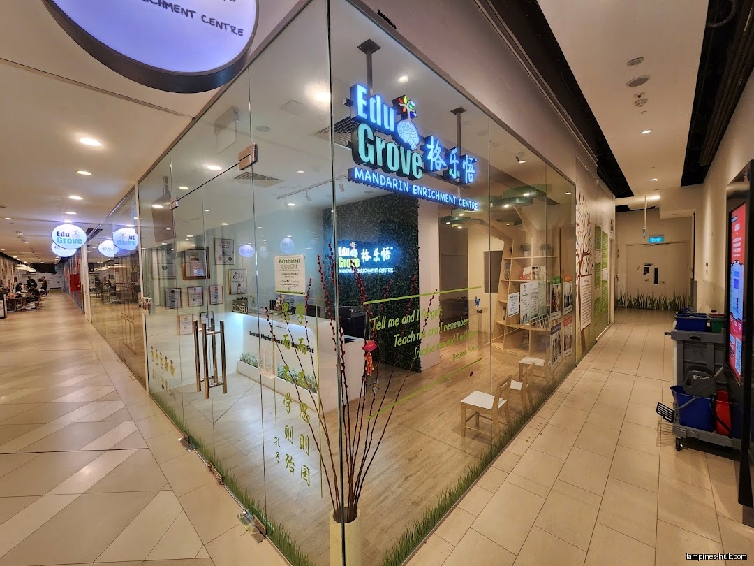 EduGrove Mandarin Enrichment Centre (Tampines)