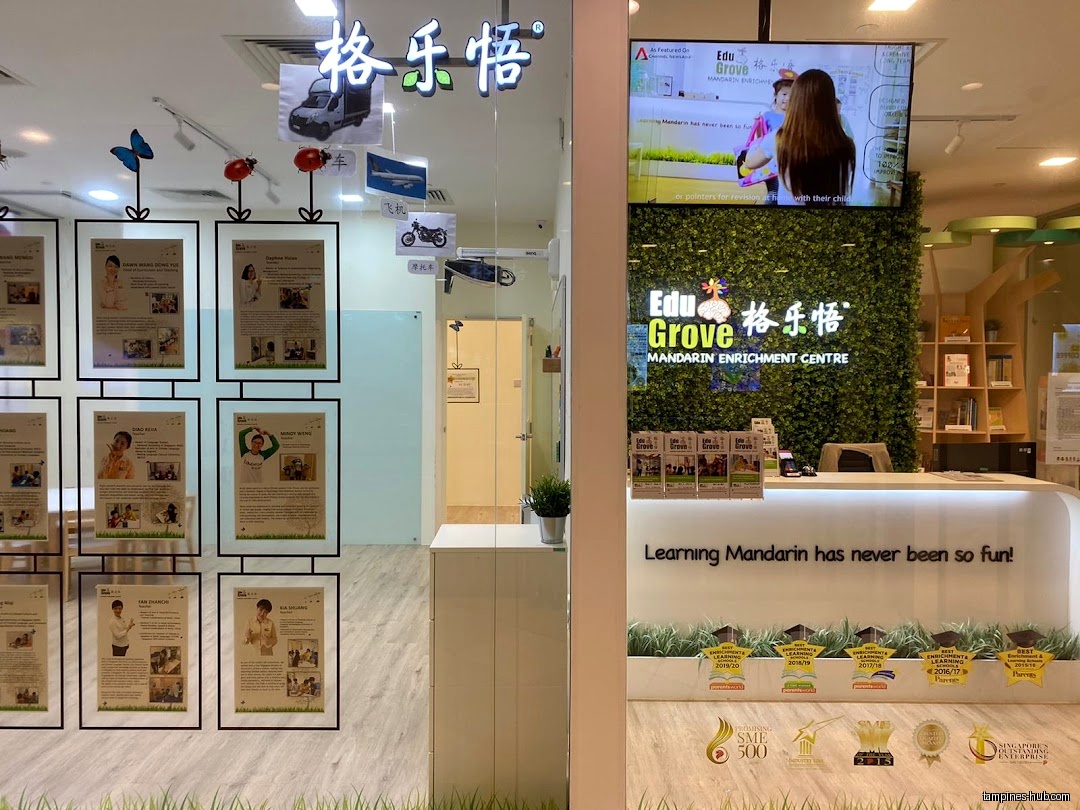 EduGrove Mandarin Enrichment Centre (Tampines)