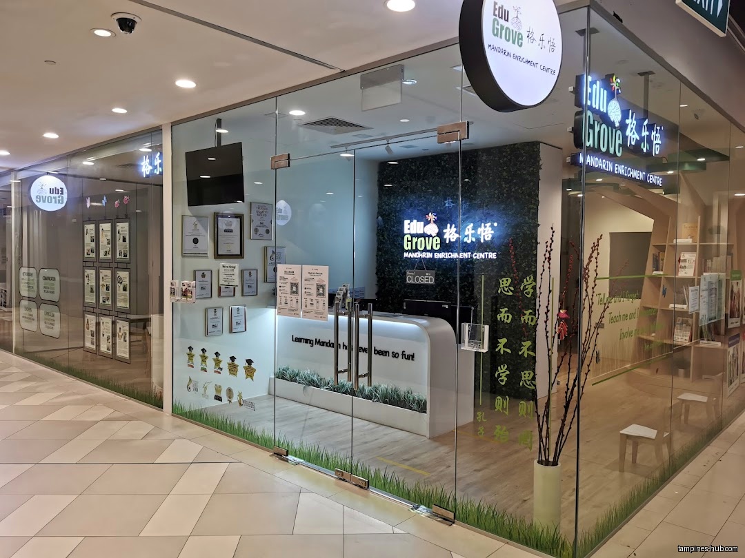 EduGrove Mandarin Enrichment Centre (Tampines)