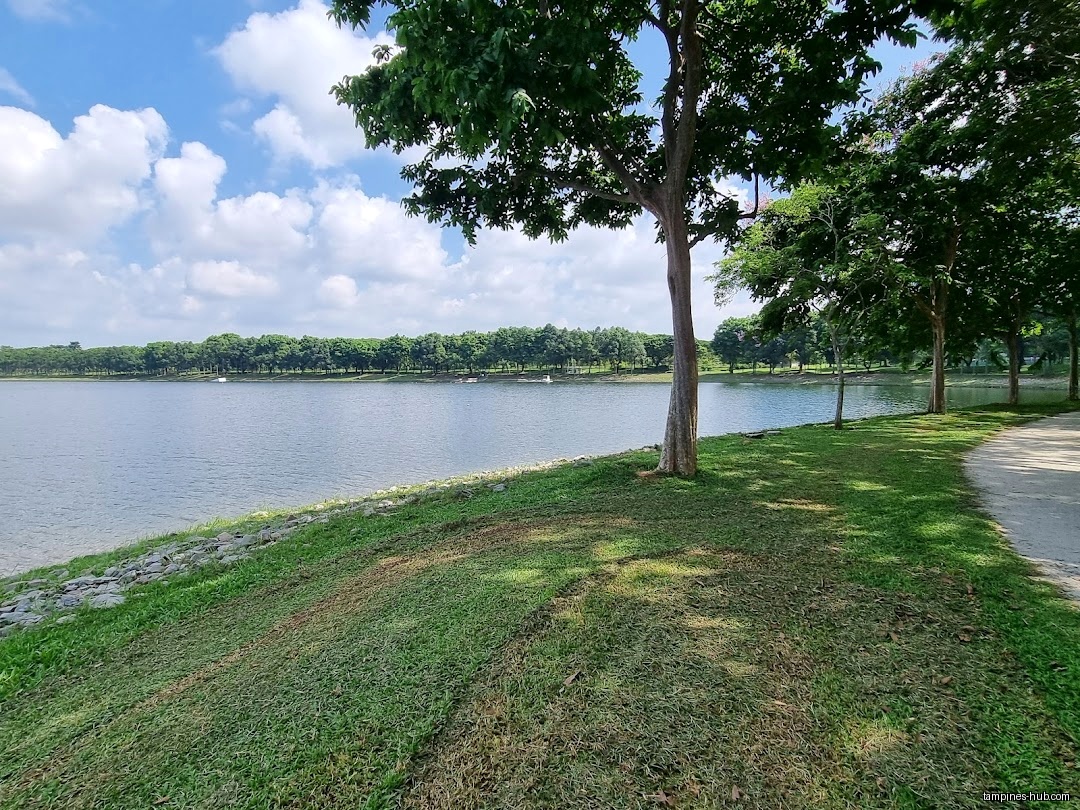Tampines ActiveSG Swimming Complex